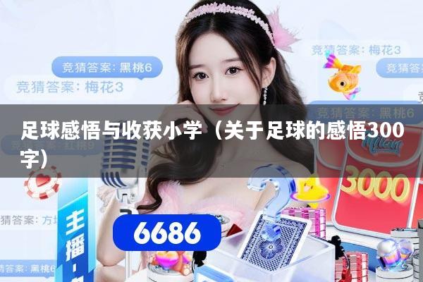 足球感悟与收获小学（关于足球的感悟300字）