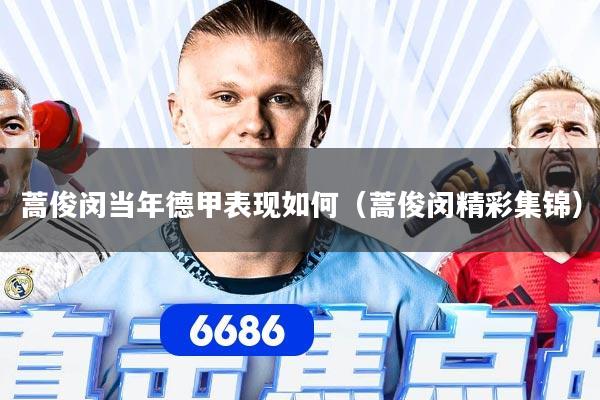 蒿俊闵当年德甲表现如何（蒿俊闵精彩集锦）